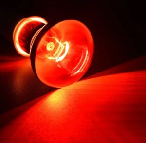 Foco Luz Infraroja Calorifica de Dia De 75 Watts - Imagen 5