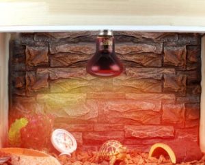 Foco Luz Infraroja Calorifica de Dia De 75 Watts - Imagen 3