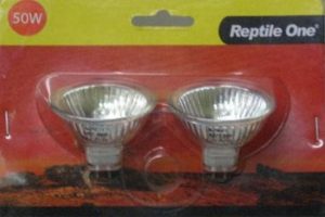 Repuesto De Luz Uva Y Uvb Calentadora De 50 Watts repti one