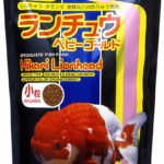 Alimento Japones Hikari Goldfish Lion Head 350 Gr Pez Acuario