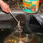 Alimento Para Tortugas Jbl ENERGIL 1000 Ml (170gr) POTE SELLADO - Imagen 2