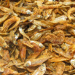 Alimento Para Tortugas Jbl ENERGIL 1000 Ml (170gr) POTE SELLADO - Imagen 3