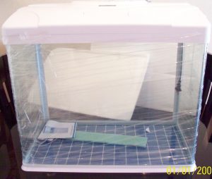 Acuario Vidrio Curvo D Lujo 120 Litros Lujo  Pez Wanlog R620 - Imagen 8