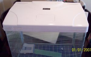 Acuario Vidrio Curvo D Lujo 120 Litros Lujo  Pez Wanlog R620 - Imagen 3