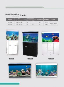 Acuario Vidrio Curvo D Lujo 120 Litros Lujo  Pez Wanlog R620 - Imagen 11
