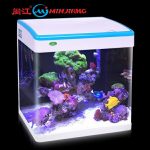 Acuario Vidrio Curvo De Lujo 15 Litros Lujo Pez Minjiang MJ-M260