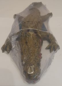 Adorno Tipo Cocodrilo mediano 25 cm