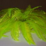 ADORNO TIPO ALGAS AMARAILLAS MEDIANO 14X10