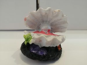 Adorno Tipo Mini Concha Abanico Chico 5 Cm Acuario Pez Peces 7 CM - Imagen 2