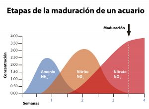BIO BACTERIAS PRISTINE SEACHEM DE 100 ML - Imagen 3
