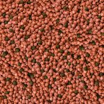 ALIMENTO SERA KOI ALL SEASON JUNIOR 500 GR CON PROBIOTICOS - Imagen 6