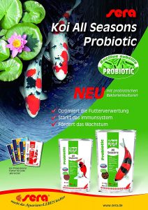 ALIMENTO SERA KOI ALL SEASON JUNIOR 500 GR CON PROBIOTICOS - Imagen 4