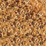 ALIMENTO SERA RAFFY GAMBAS DE 130 GR PECES REPTILES - Imagen 3