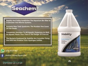 BIO BACTERIAS STABILITY DE 100 ML - Imagen 8