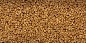 Alimento en pellets Dajana Gold Gran para peces goldfish de 110 gr - Imagen 2