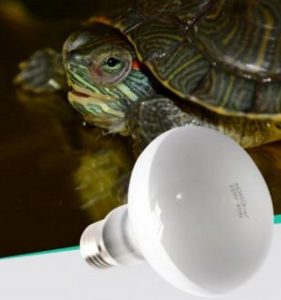 Foco de UVA + UVB de 40 watts a 220V para reptiles MARCA NOMO