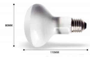 Foco de UVA + UVB de 40 watts a 220V para reptiles MARCA NOMO - Imagen 3