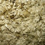 Tropical Gusanos Premium En Scamas Tropicales Coclidos Tubifex 60 gr - Imagen 2