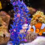 Adorno Tipo Planta Acuatica Mediana 25x15 cm Acuario Pez Peces - Imagen 3