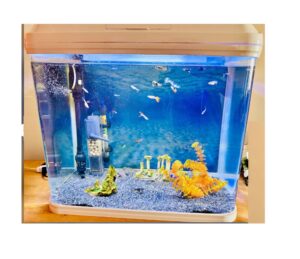 Acuario Curvo De 90 Litros Importado Sobo T590f Peces - Imagen 8