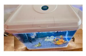 Acuario Curvo De 90 Litros Importado Sobo T590f Peces - Imagen 7