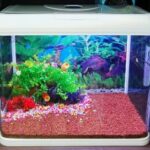 Acuario Curvo De 90 Litros Importado Sobo T590f Peces