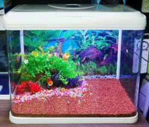 Acuario Curvo De 90 Litros Importado Sobo T590f Peces