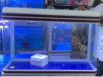 Acuario vidrio curvo sobo T-100F de 190 litros y 100 cm con mueble - Imagen 8