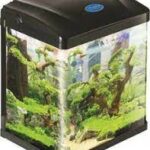 MINI ACUARIO SOBO DE 6 LITROS MOR. HR-180