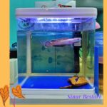 MINI ACUARIO SOBO MOD.T-240 ACUARIO IMPORTADO 9L SOBO - Imagen 3