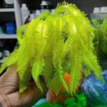 ADORNO TIPO ALGAS AMARAILLAS MEDIANO 14X10 - Imagen 3