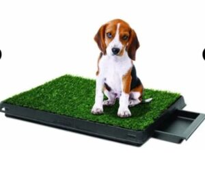Baño Para Dentro De Casa Perros Lavable Grande 63 cm - Imagen 2