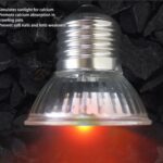 Foco de Luz Uva Y Uvb Calentadora De 75 Watts  de UVA + UVB 3.0 - Imagen 2