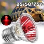 Foco de Luz Uva Y Uvb Calentadora De 75 Watts  de UVA + UVB 3.0