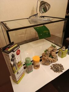 Tortuguero Terrario Grande 80x35x40cm Completo (ver Listad) - Imagen 7