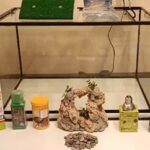 Tortuguero Terrario Media 60x30x40cm Kit Completo