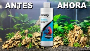 Clarificador De Agua Clarity Seachem 250ml rinde para 4000 Litros - Imagen 2