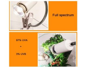 Foco de Luz Uva Y Uvb Calentadora De 25 Watts  de UVA + UVB 3.0 - Imagen 2