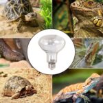 Foco Luz De Día Calorifica De 100 Watts Reptile One