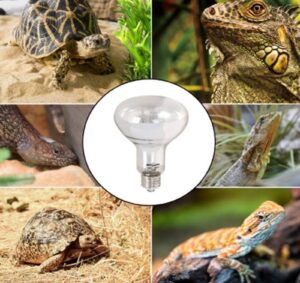 Foco Luz De Día Calorifica De 100 Watts Reptile One