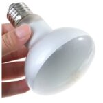 Foco Uva+uvb De Dia De 75 Watts Reptiles Terrarios Tortugas