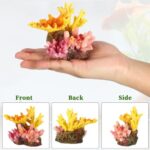 Adorno Tipo Arrecife 4 Corales Mediano De 10x8 Cm Peceras - Imagen 3