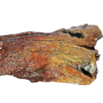 Adorno Tipo Tronco Mediano De 2 Huecos 15x15 Acuario Pecera