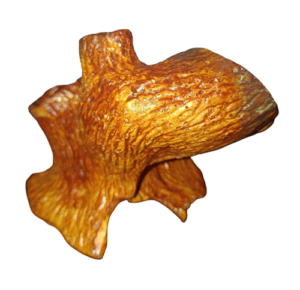 Adorno Tipo Tronco Mediano Parado 2 Huecos De 15 Cm Pecera - Imagen 3