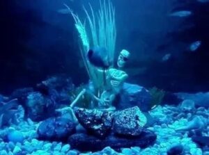 Adorno Calavera Con Garrafa 13x10 Cm Acuario Pez Peces Pecer - Imagen 5