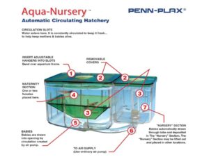 Paridera Peces Aqua Nursey Penn Plax Acuario Pez - Imagen 2