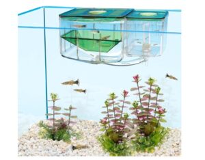 Paridera Peces Aqua Nursey Penn Plax Acuario Pez - Imagen 4