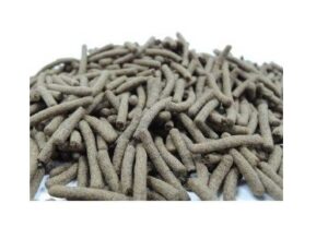 Alimento Para Ciclidos Asia Cichild Stick D Azoo Peces 350gr O 900 ML - Imagen 2