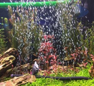 Difusor Flexible Tipo Cortina Peceras Y Acuarios Boyu Tn-30 - Imagen 3