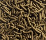 Alimento Para Ciclidos Asia Cichild Stick D Azoo Peces 350gr O 900 ML - Imagen 2